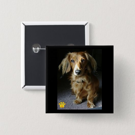 Ein bemerkenswerter Dackel-Knopf Button (Vorne & Hinten)