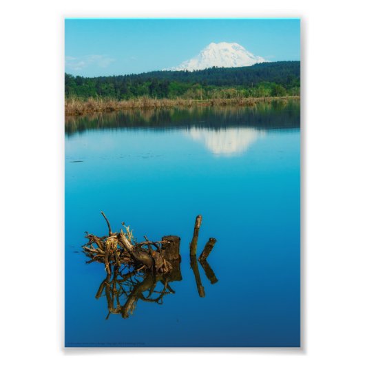 Ein Bergrestaub über einer Hecke Fotodruck (Vorne)