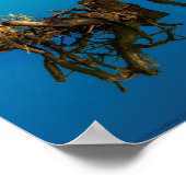 Ein Bergrestaub über einer Hecke Poster (Ecke)