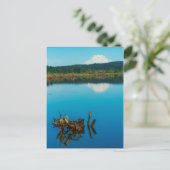 Ein Bergrestaub über einer Hecke Postkarte (Stehend Vorderseite)