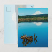 Ein Bergrestaub über einer Hecke Postkarte (Vorne/Hinten)