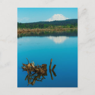 Ein Bergrestaub über einer Hecke Postkarte