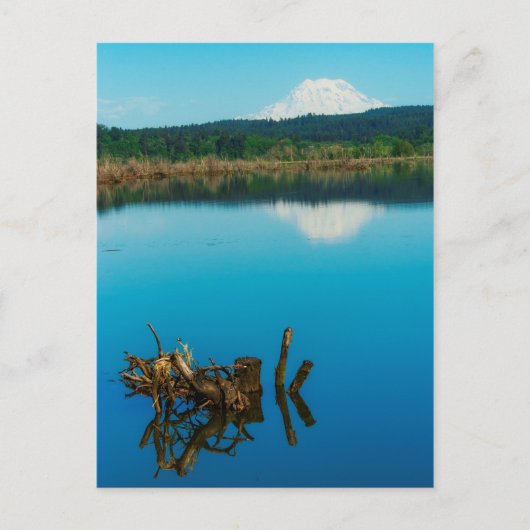Ein Bergrestaub über einer Hecke Postkarte (Vorderseite)