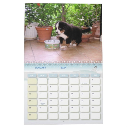 Ein Berner Jahr Kalender (Jan 2027)