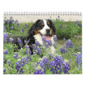 Ein Berner Jahr Kalender (Titelbild)