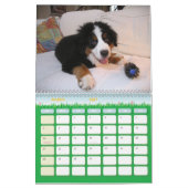 Ein Berner Jahr Kalender (Mär 2027)