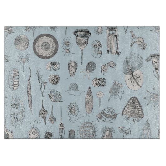 Ein Bestiary von Protozoen Schneidebrett (Vorderseite)