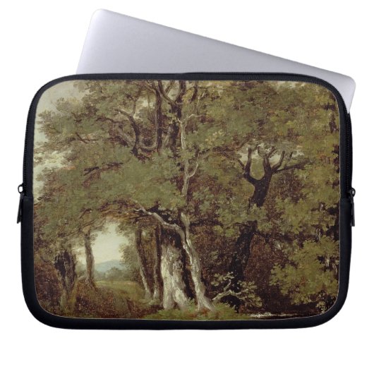 Ein bewaldeter Weg Laptopschutzhülle (Vorderseite)