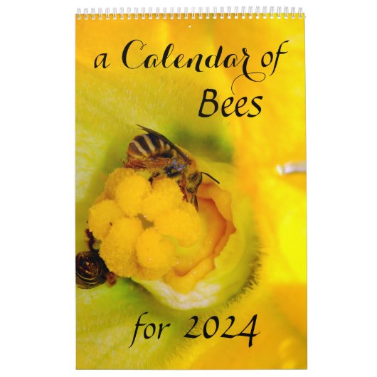 Ein Bienenkalender für 2024 - 11 x 14¼ Zoll Kalender (Titelbild)