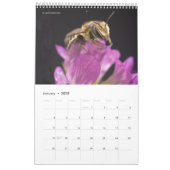 Ein Bienenkalender für 2025 - 11 x 14¼ Zoll Kalender (Jan 2025)