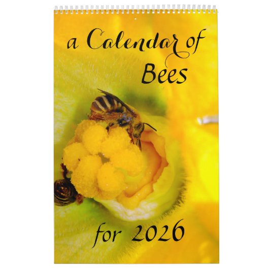Ein Bienenkalender für 2025 - 11 x 14¼ Zoll Kalender (Titelbild)