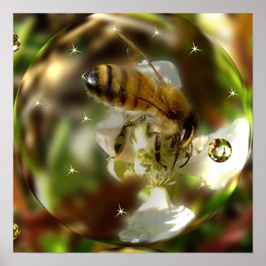 Ein Bienenweltposter Poster (Vorne)