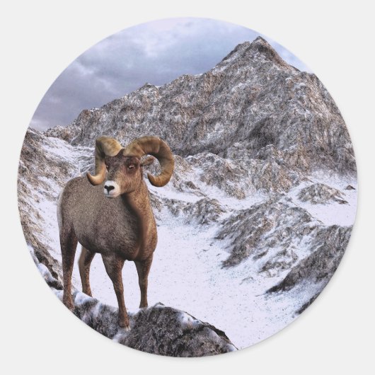 Ein Bighorn Sheep blickt ins Tal Runder Aufkleber (Vorderseite)