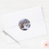 Ein Bighorn Sheep blickt ins Tal Runder Aufkleber (Umschlag)