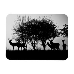 Ein Bild des Nebels einiger Rotwild morgens Magnet