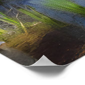 Ein Bild einer Waldlandschaft in einem Sumpf Poster (Ecke)