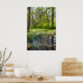 Ein Bild einer Waldlandschaft in einem Sumpf Poster (Küche)