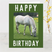 Ein Bild vom Weißen Pferd am Geburtstag Karte (Gelbe Blume)