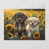 Ein Bild von zwei Welpen auf dem Feld der Sonnenbl Postkarte (Vorderseite)
