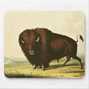 Ein Bison, c.1832 Mousepad