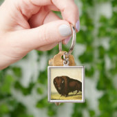 Ein Bison, c.1832 Schlüsselanhänger (Hand)