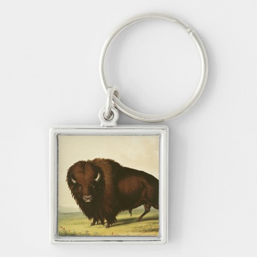 Ein Bison, c.1832 Schlüsselanhänger (Vorne)