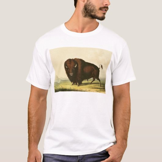 Ein Bison, c.1832 T-Shirt (Vorderseite)