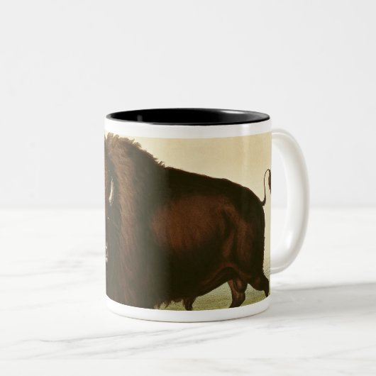 Ein Bison, c.1832 Zweifarbige Tasse (VorderseiteRechts)