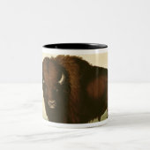 Ein Bison, c.1832 Zweifarbige Tasse (Mittel)