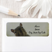 Ein bisschen irreführend (Insitu)