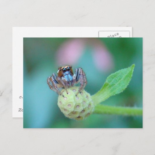 Ein bisschen Jumpy? Postkarte (Vorne/Hinten)