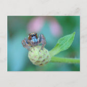 Ein bisschen Jumpy? Postkarte (Vorderseite)