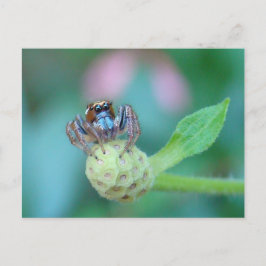 Ein bisschen Jumpy? Postkarte