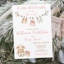 Ein bisschen Land-Winter-Boho-Baby-Mädchen-Party