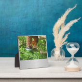 Ein bisschen Nüsse, Eichhörnchenplakette. Fotoplatte (InSitu)