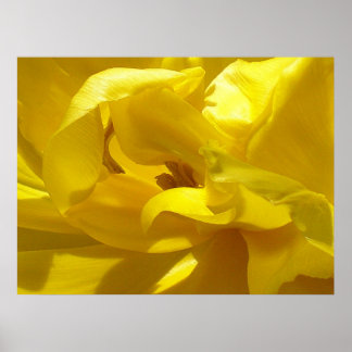 Ein bisschen piep poster