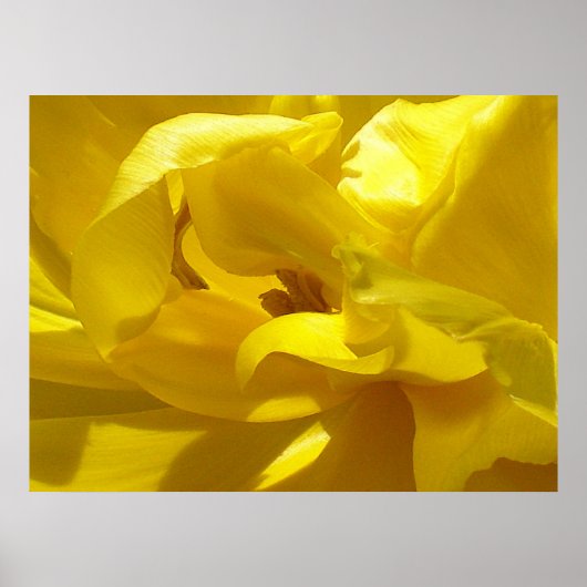 Ein bisschen piep poster (Vorne)