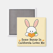 Ein bisschen Sonne in Louisiana Lieben Magnet (Vorderseite/Rückseite)