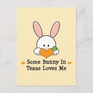 Ein bisschen sonnig in Texas-Lieben Ich Postcard Postkarte