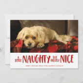 Ein bisschen vergnügt | Rot | FOTO Feiertagskarte (Vorderseite)