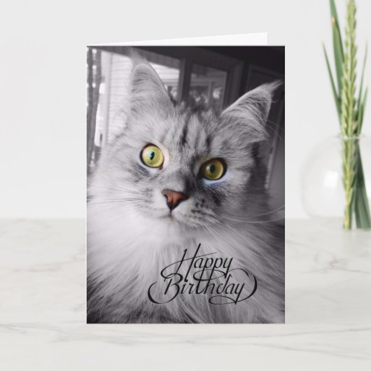 Ein bisschen Zauberkarte zum Geburtstag Karte (Vorderseite)