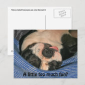 Ein bisschen zu viel Spaß? Boston Terrier Post Car Postkarte (Vorne/Hinten)
