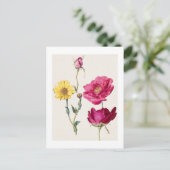 Ein Blatt mit Studien zu französischen Rosen und e Postkarte (Stehend Vorderseite)