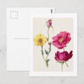 Ein Blatt mit Studien zu französischen Rosen und e Postkarte (Vorne/Hinten)