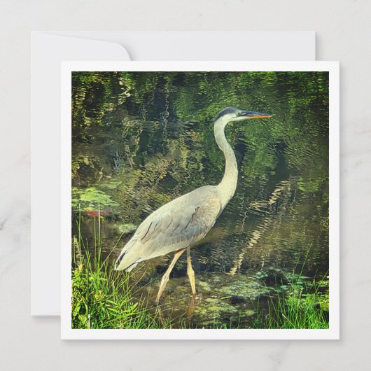 Ein blauer Held (Vorderseite)