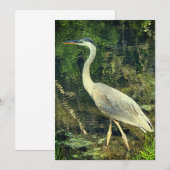 Ein blauer Held (Vorne/Hinten)