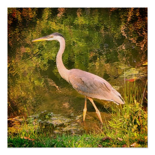 Ein blauer Held Poster (Vorderseite)