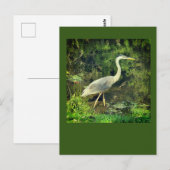 Ein blauer Held Postkarte (Vorne/Hinten)