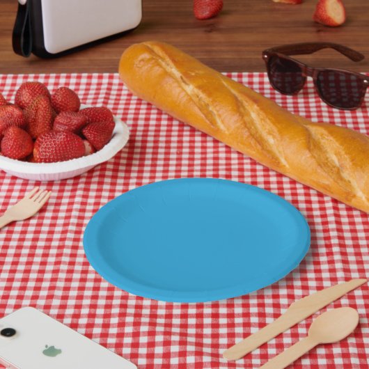 ein blauer Hintergrund mit einer schwarz-weißen Ka Pappteller (Picknick)