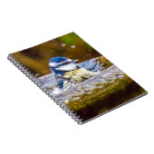 Ein blauer Tit im Birdbath Notizblock (Rechte Seite)